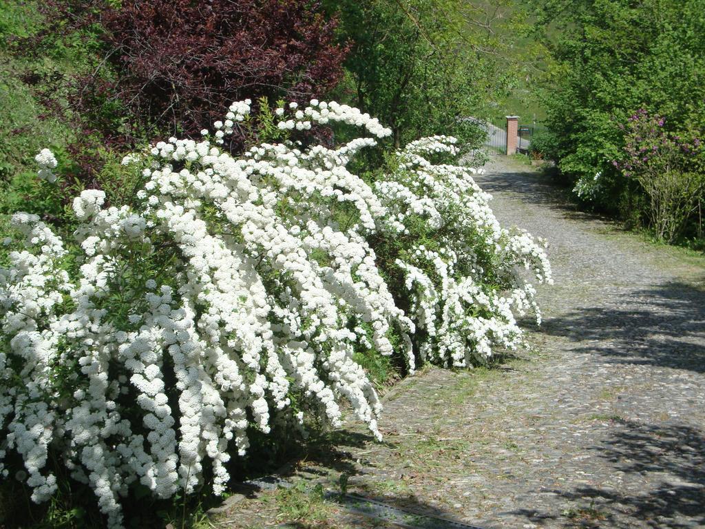 Moncucco Torinese Cascina Nel Bosco B&B 외부 사진